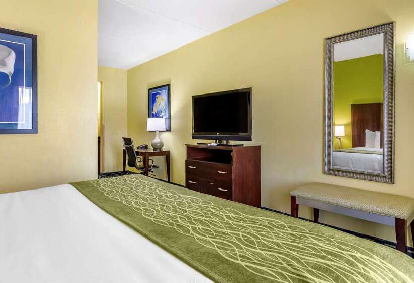فندق Comfort Inn Athens