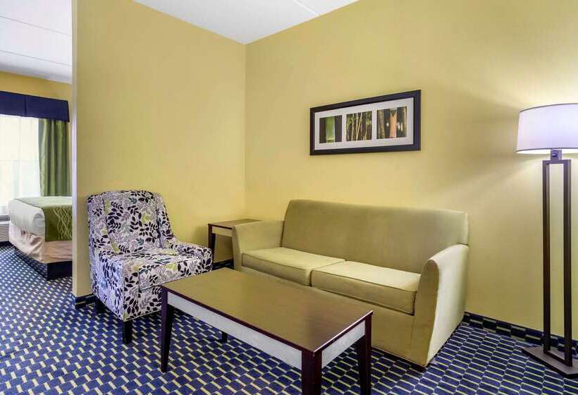 فندق Comfort Inn Athens