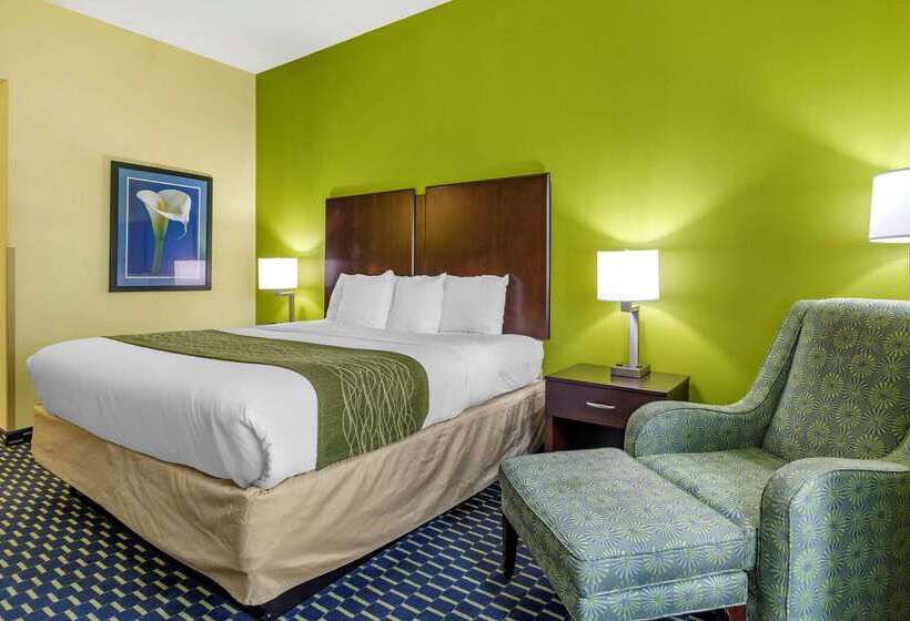 فندق Comfort Inn Athens