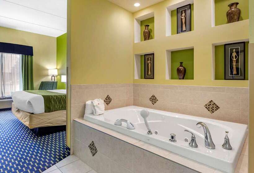 فندق Comfort Inn Athens