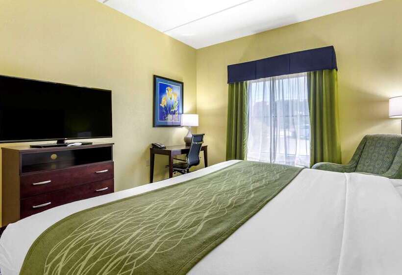 فندق Comfort Inn Athens
