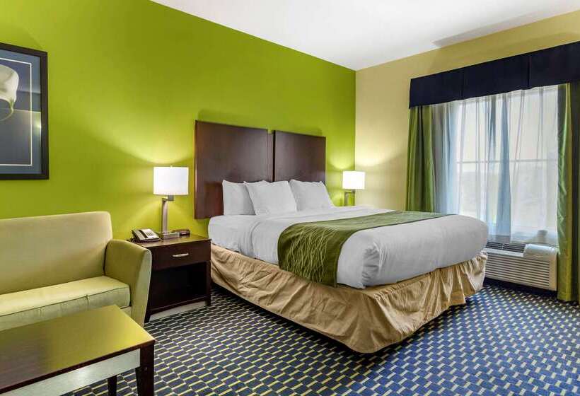 فندق Comfort Inn Athens