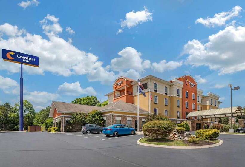 فندق Comfort Inn Athens