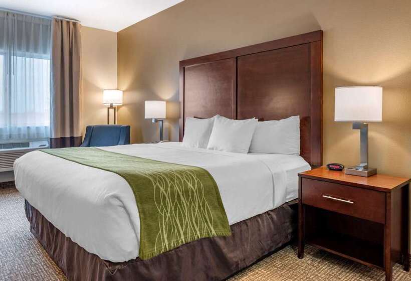 فندق Comfort Inn Hebronlowell Area