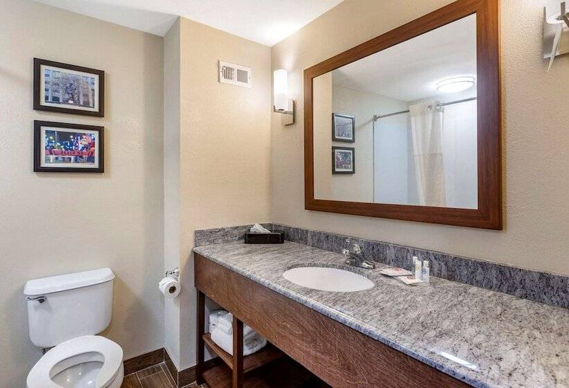 בית מלון כפרי Comfort Inn & Suites Atokamillington