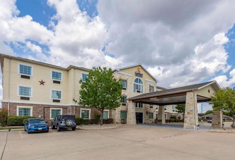 ホテル Comfort Inn & Suites Gatesville Near Fort Cavazos