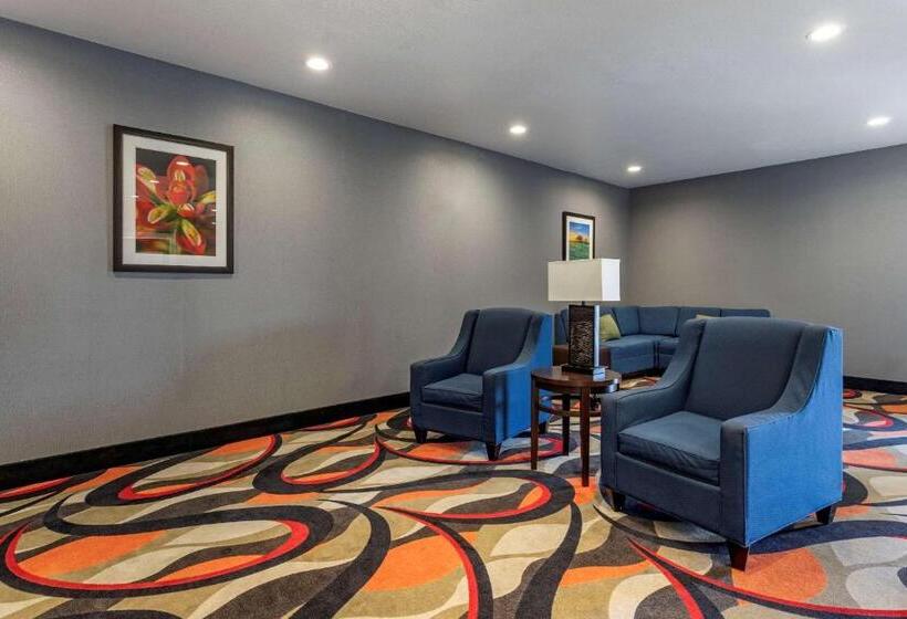 ホテル Comfort Inn & Suites Gatesville Near Fort Cavazos