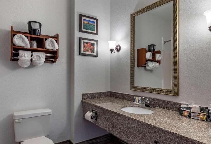 ホテル Comfort Inn & Suites Gatesville Near Fort Cavazos
