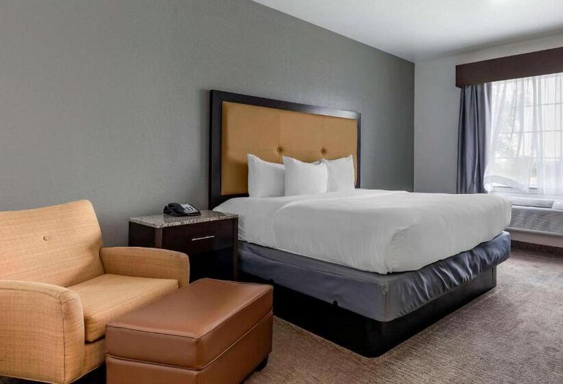 ホテル Comfort Inn & Suites Gatesville Near Fort Cavazos