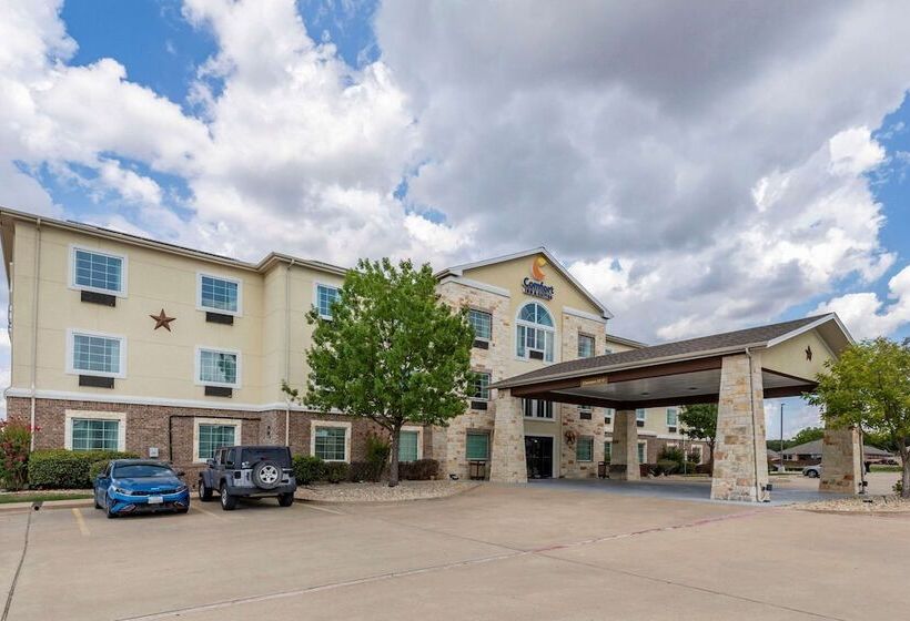 ホテル Comfort Inn & Suites Gatesville Near Fort Cavazos
