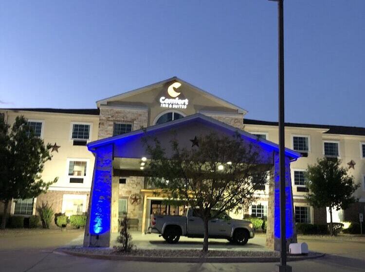ホテル Comfort Inn & Suites Gatesville Near Fort Cavazos