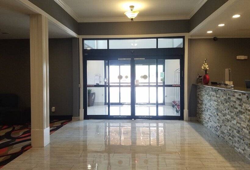 ホテル Comfort Inn & Suites Gatesville Near Fort Cavazos