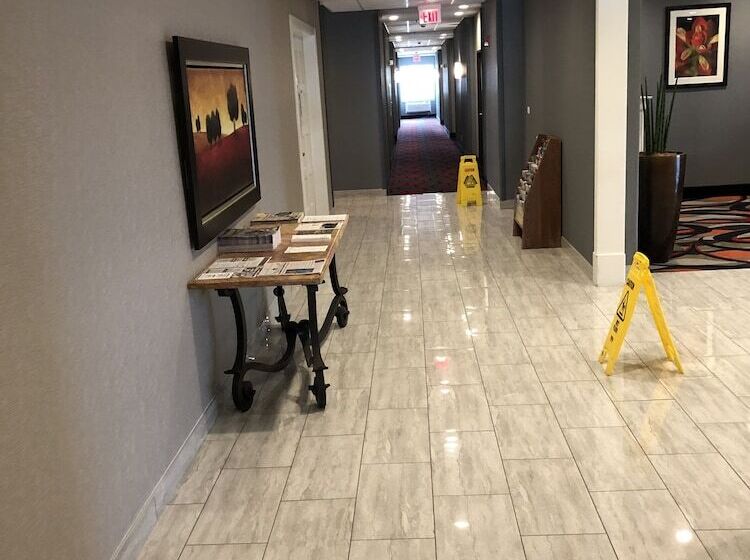 ホテル Comfort Inn & Suites Gatesville Near Fort Cavazos