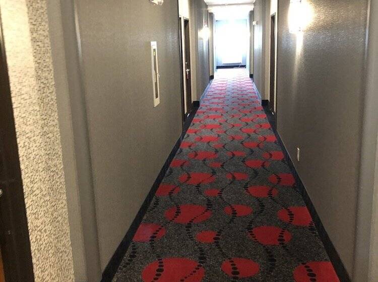 ホテル Comfort Inn & Suites Gatesville Near Fort Cavazos