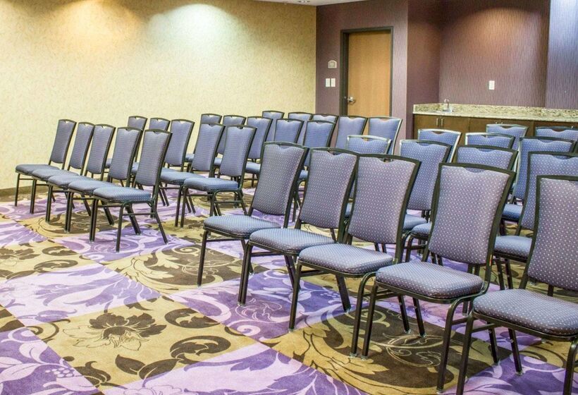 酒店 Comfort Suites