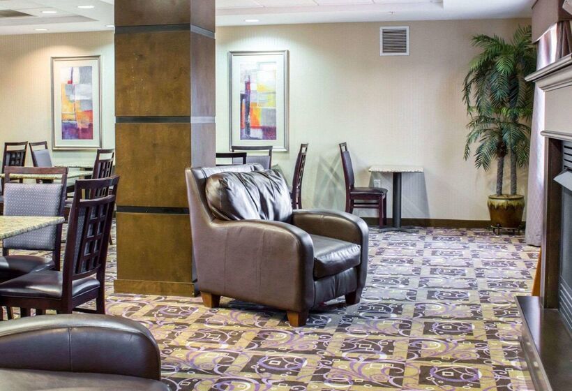 酒店 Comfort Suites