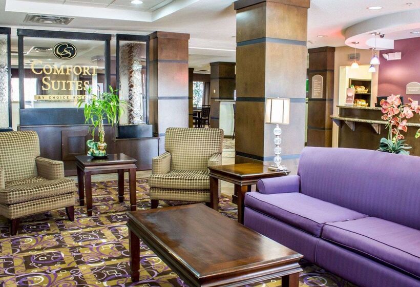 酒店 Comfort Suites