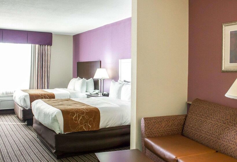 酒店 Comfort Suites