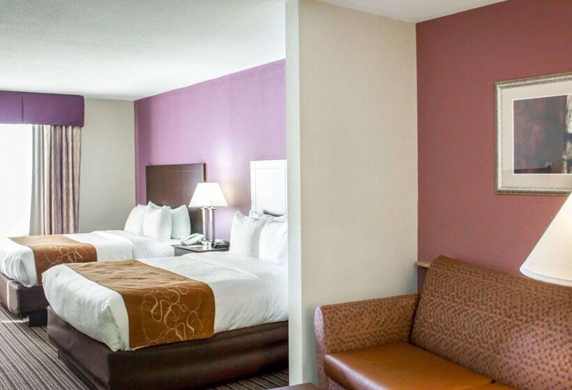 酒店 Comfort Suites