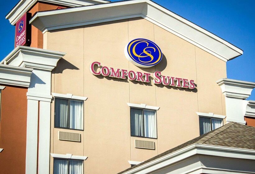 酒店 Comfort Suites