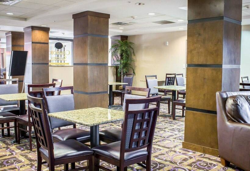 酒店 Comfort Suites