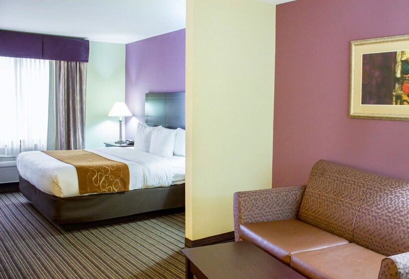 酒店 Comfort Suites