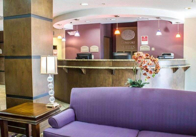 酒店 Comfort Suites