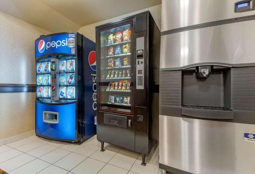 호텔 Comfort Inn & Suites