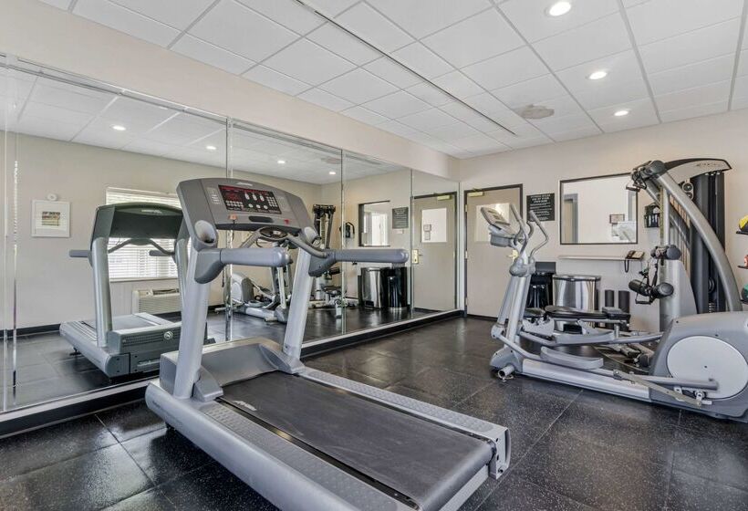 Отель Country Inn & Suites By Radisson, Tampa Airport North, Fl