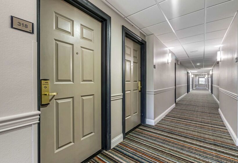 فندق Country Inn & Suites By Radisson, Tampa Airport North, Fl