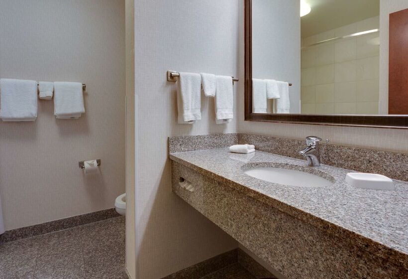 호텔 Drury Inn & Suites Baton Rouge