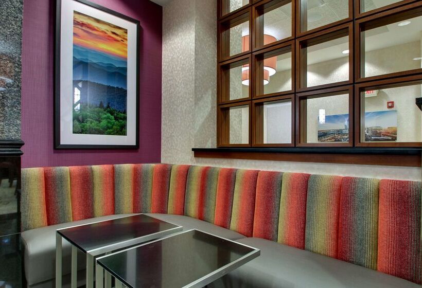 Отель Drury Inn & Suites Charlotte Northlake