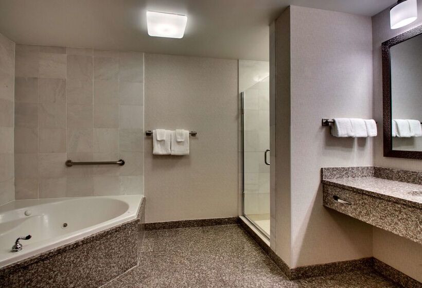 Отель Drury Inn & Suites Charlotte Northlake
