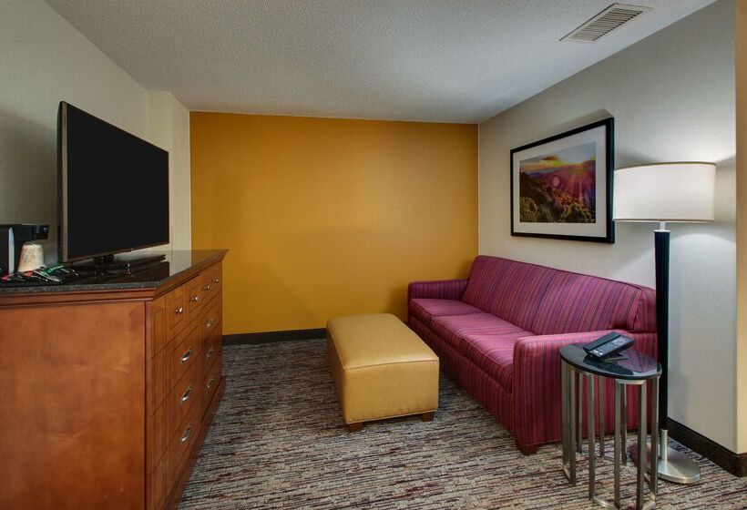 Отель Drury Inn & Suites Charlotte Northlake