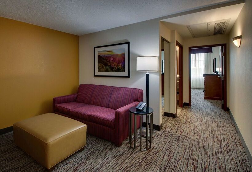Отель Drury Inn & Suites Charlotte Northlake