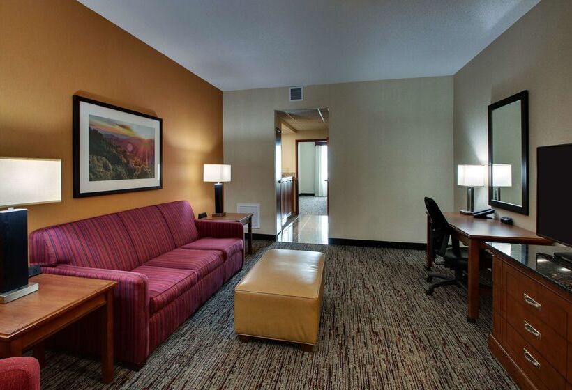 Отель Drury Inn & Suites Charlotte Northlake