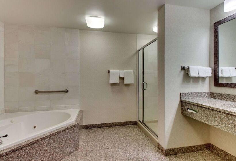 فندق Drury Inn & Suites Meridian