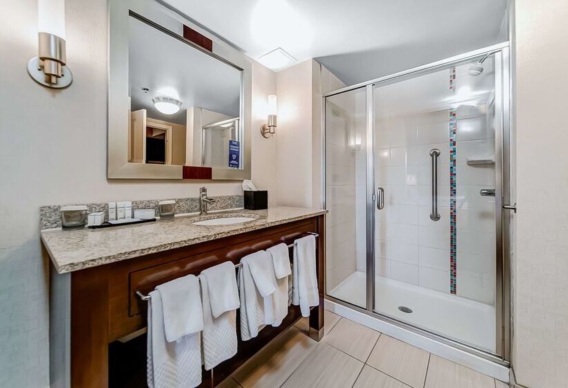 Отель Embassy Suites Atlanta Kennesaw Town Center