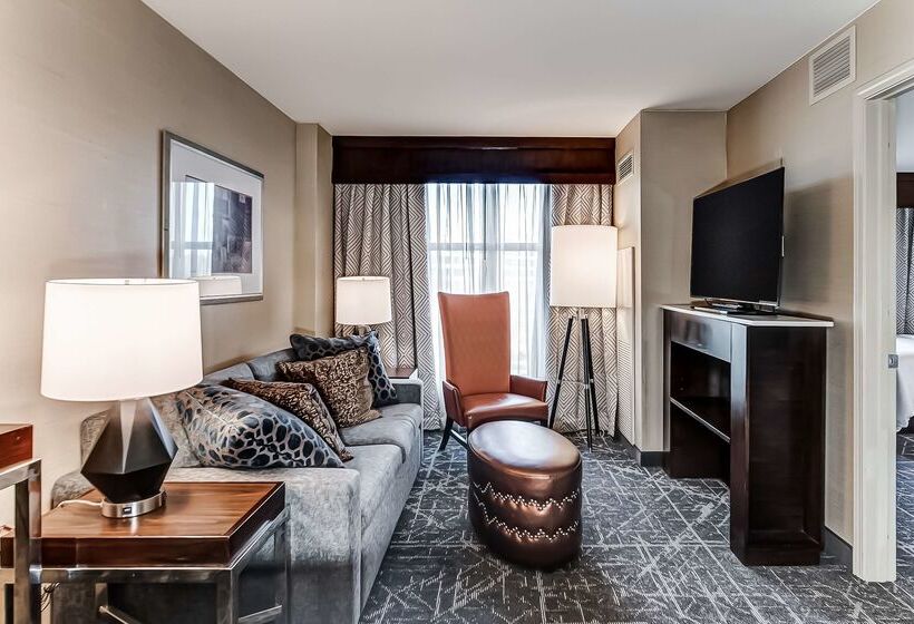 Отель Embassy Suites Atlanta Kennesaw Town Center