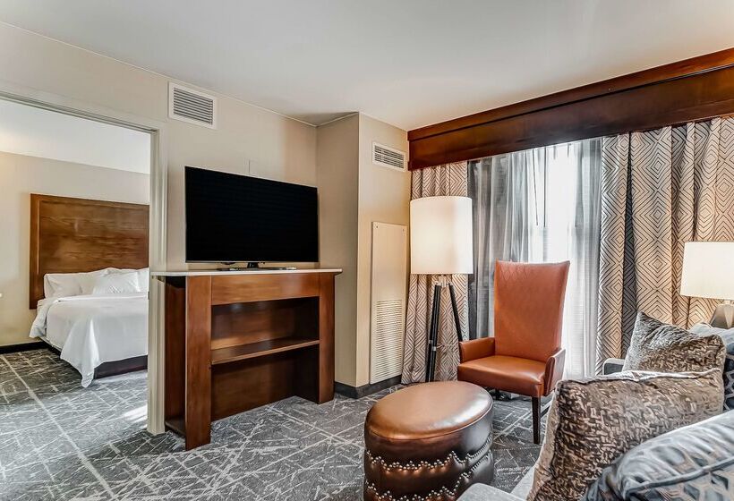 Отель Embassy Suites Atlanta Kennesaw Town Center