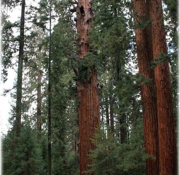 호텔 Garden View Inn