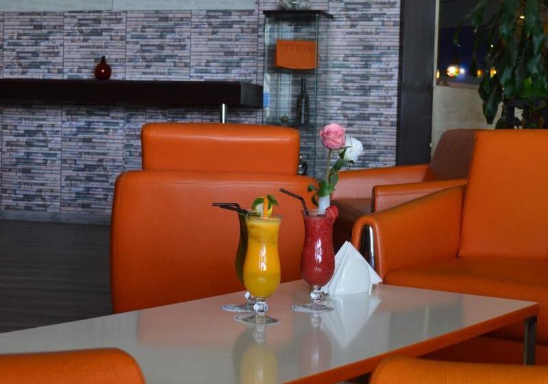 酒店 Golden Tulip Hail