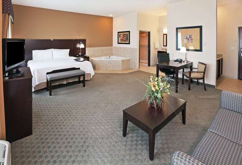 酒店 Hampton Inn And Suites Dumas