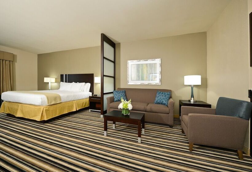 فندق Holiday Inn Express & Suites Forrest City, An Ihg