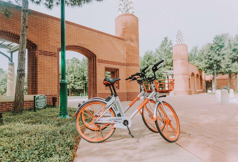 فندق Hyatt Centric The Woodlands