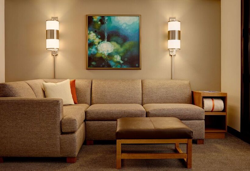 בית מלון כפרי Hyatt Place Salt Lake City Downtown / The Gateway