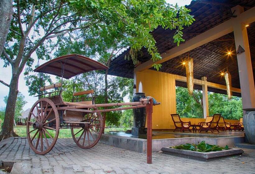 酒店 Kassapa Lions Rock