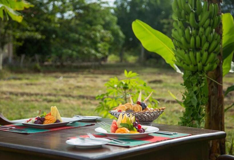 酒店 Kassapa Lions Rock