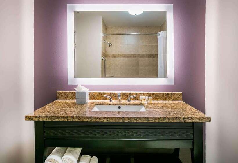 酒店 La Quinta Inn & Suites By Wyndham Dfw Airport West  Euless