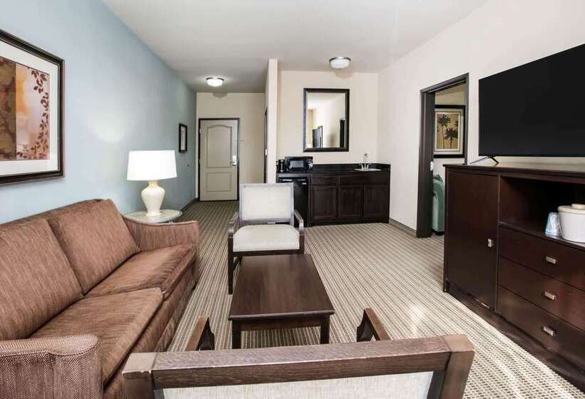 酒店 La Quinta Inn & Suites By Wyndham Dfw Airport West  Euless